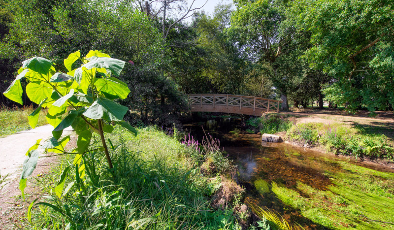 Río Anllóns ao seu paso por Carballo Río Anllóns ao seu paso por Carballo