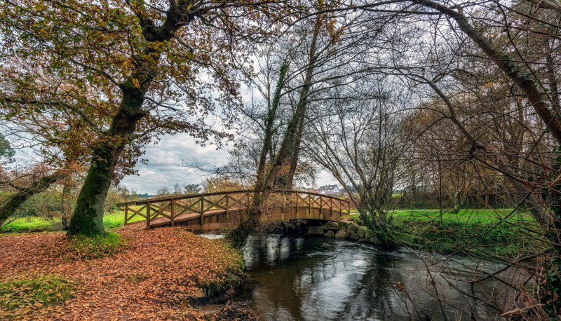 O río Anllóns ao seu paso por Carballo no Bosque do Añón O río Anllóns ao seu paso por Carballo no Bosque do Añón