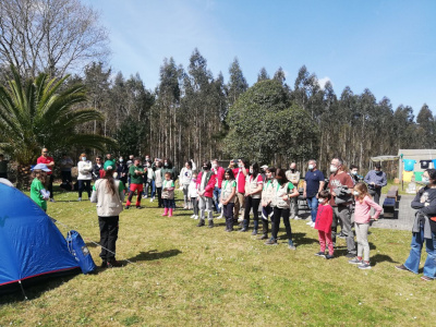 Presentacin de la actividad