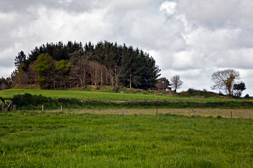 Castro de Cotomil, en Sofán Castro de Cotomil, en Sofán