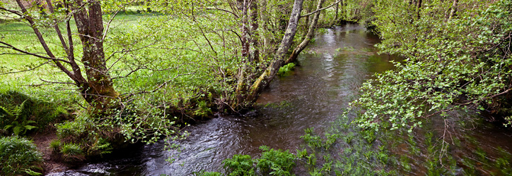Río Carral Río Carral