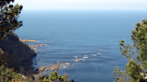 La ruta de los pinos en el mar