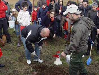 Día del Árbol con Senda Nova Día del Árbol con Senda Nova
