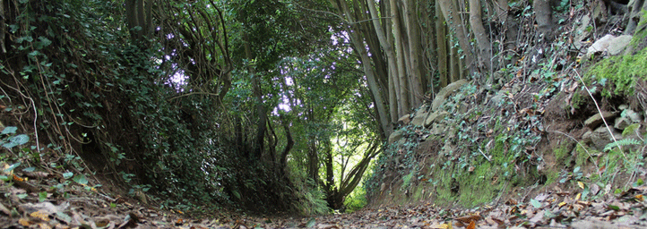 Camiño centenario da Ruta das Férvedas Camiño centenario da Ruta das Férvedas