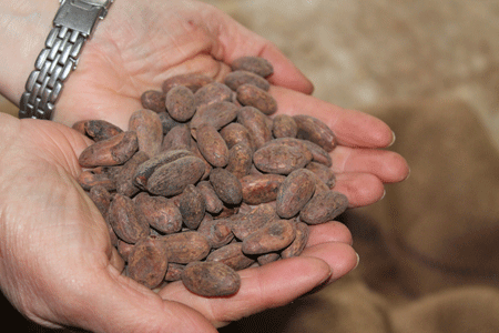 O primeiro paso, tostar os grans de cacao O primeiro paso, tostar os grans de cacao