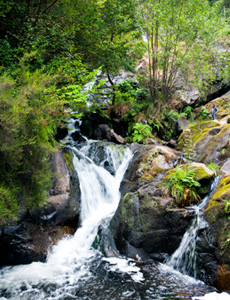 Salto de auga Salto de auga